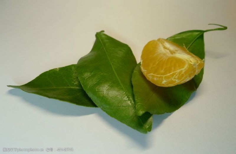水果宣传单橘子叶图片