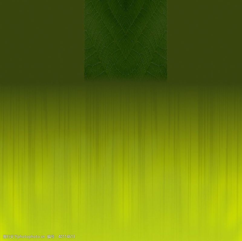 花梨绿色背景图片