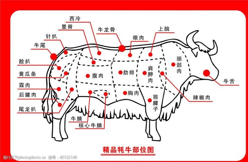 分割部位牛部位图图片