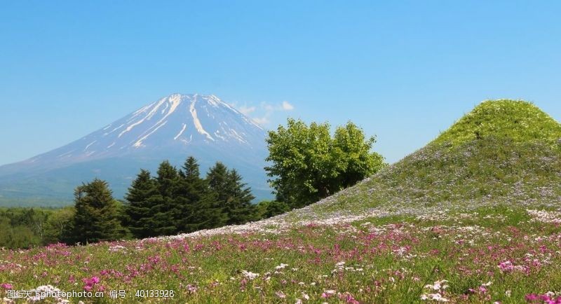 假期旅游日本富士山图片