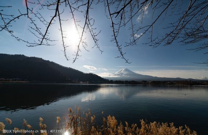 假花日本富士山图片