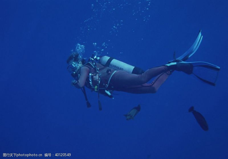 2008奥运深海潜水图片