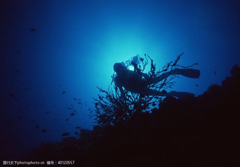 竞技体育深海潜水图片