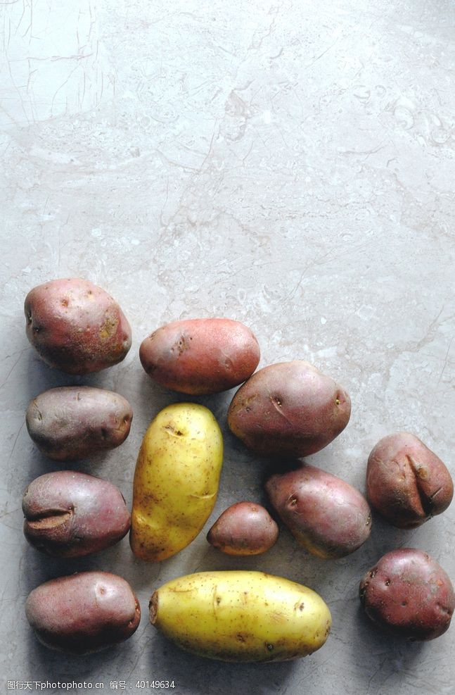 海马土豆图片