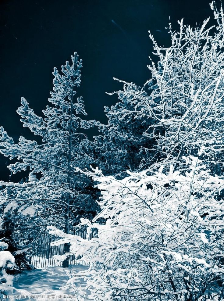 日化素材雪山图片