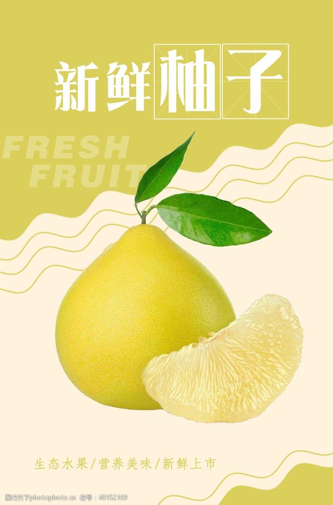 沙田柚柚子海报图片