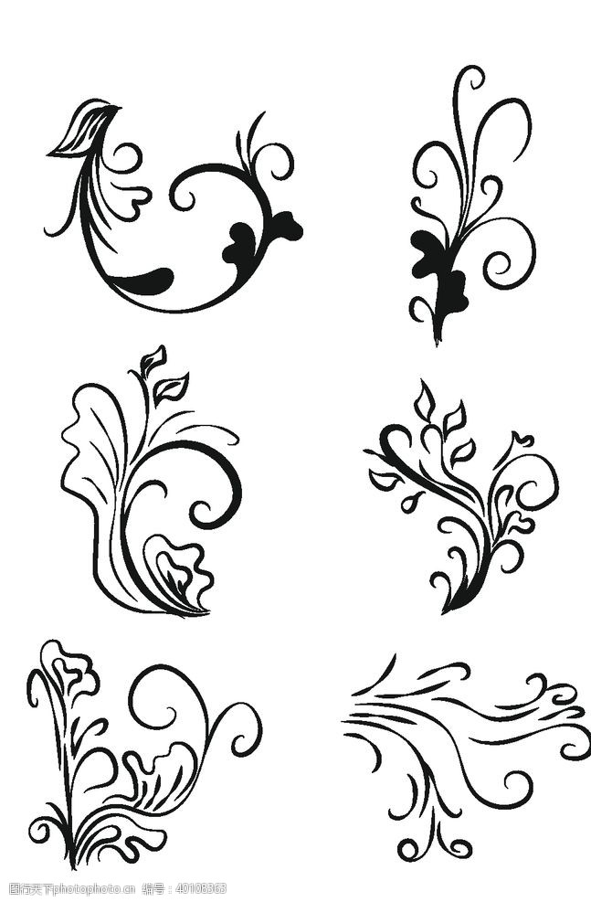 欧式古典花纹植物叶子花纹图片