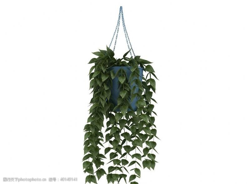 背景墙max吊篮植物3d模型图片