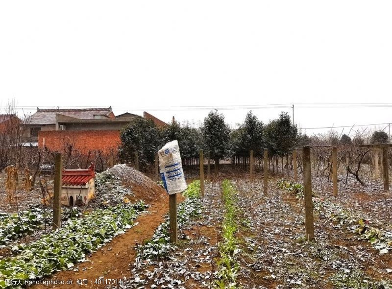 乡村风采冬日里的乡土风景图片