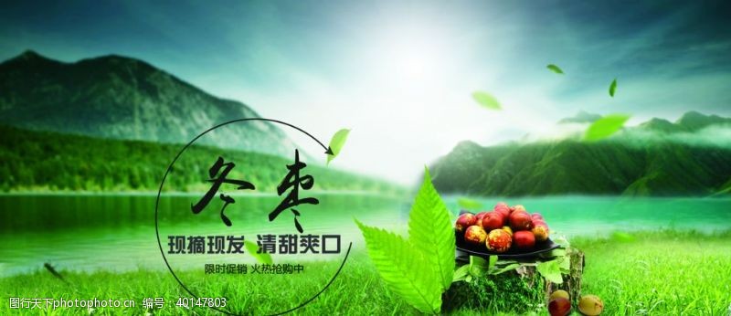 油菜花广告冬枣海报图片