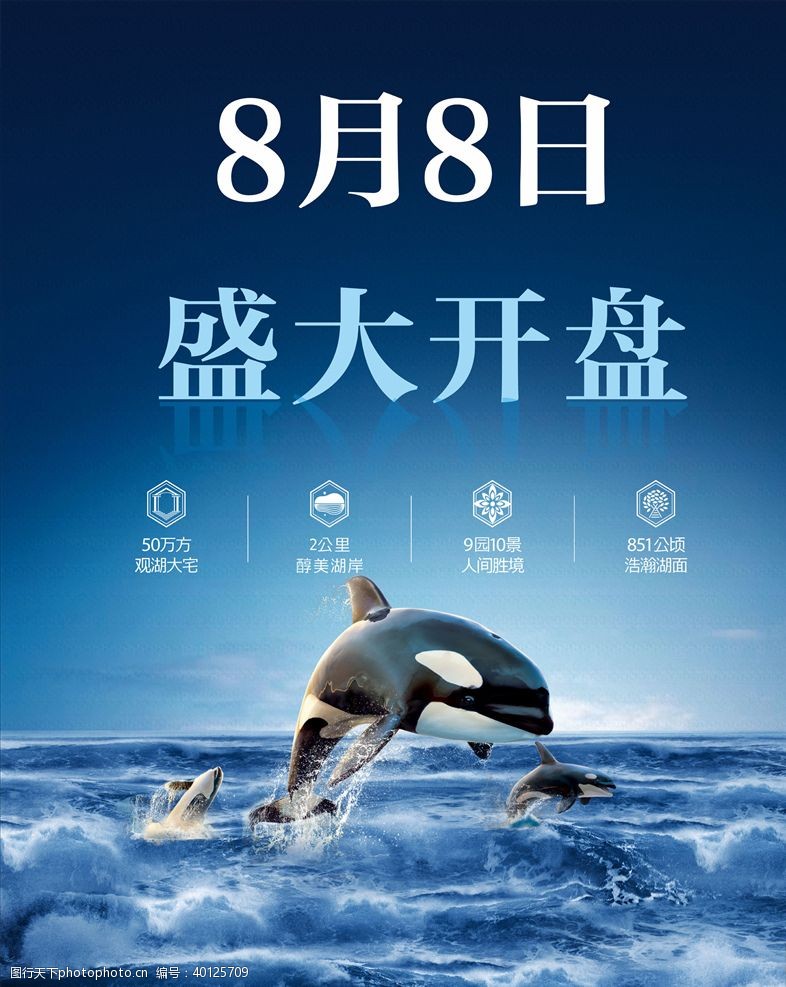 地产招商海豚鲸鱼开盘背景海报图片