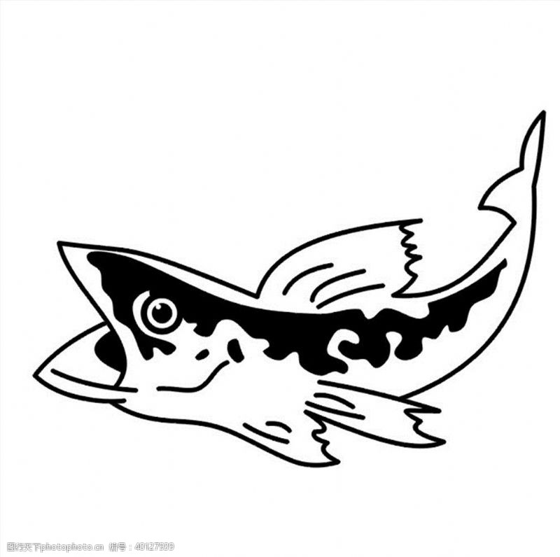 白描黑鱼矢量图图片