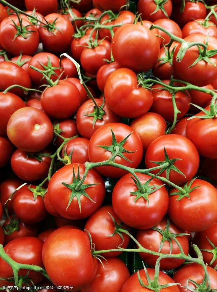 蔬菜海报红番茄图片