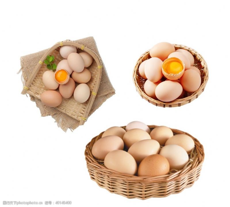 农场宣传单鸡蛋图片