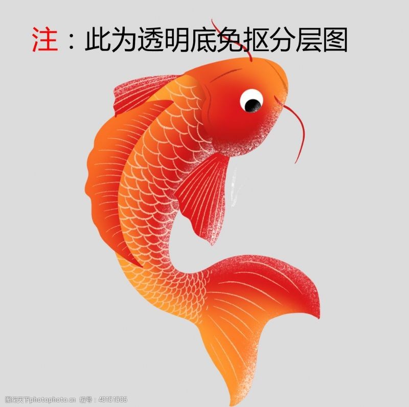 传统文化插画金鱼图片