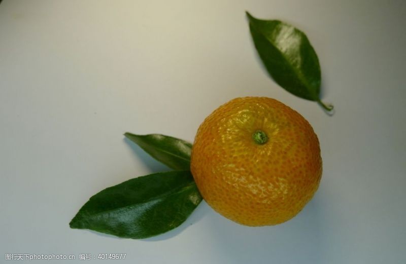糖果海报橘子图片