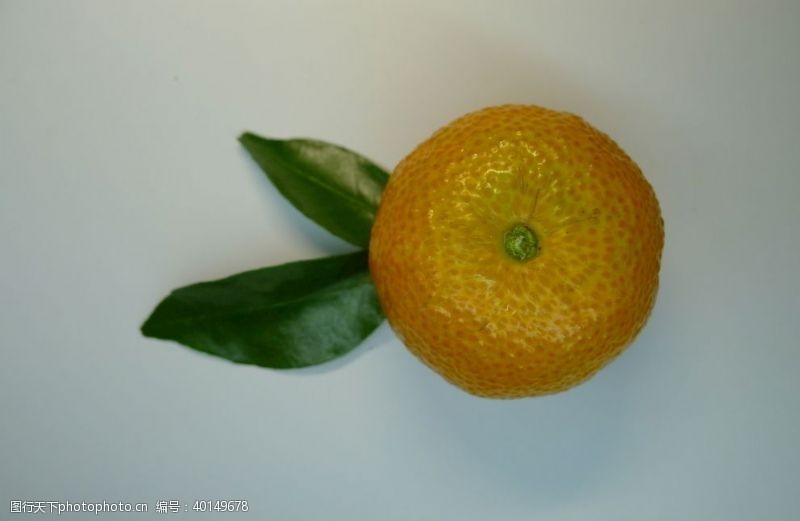 鲜果橘子图片