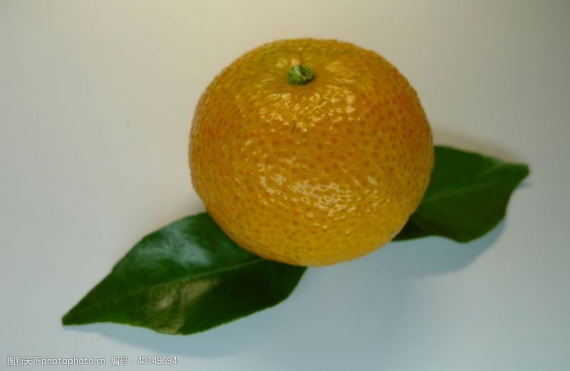 生鲜宣传单橘子图片