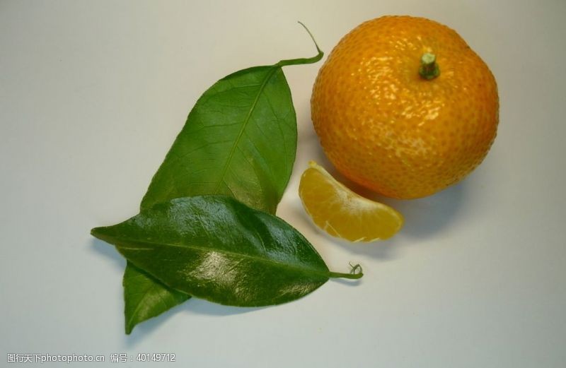 海鲜宣传橘子图片