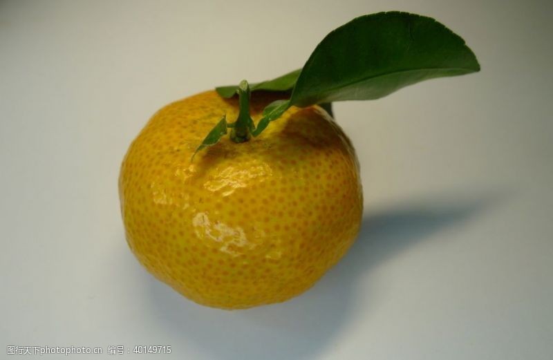 橘子包装橘子图片