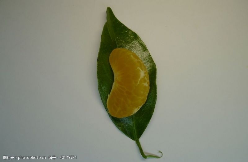 水果展架橘子图片