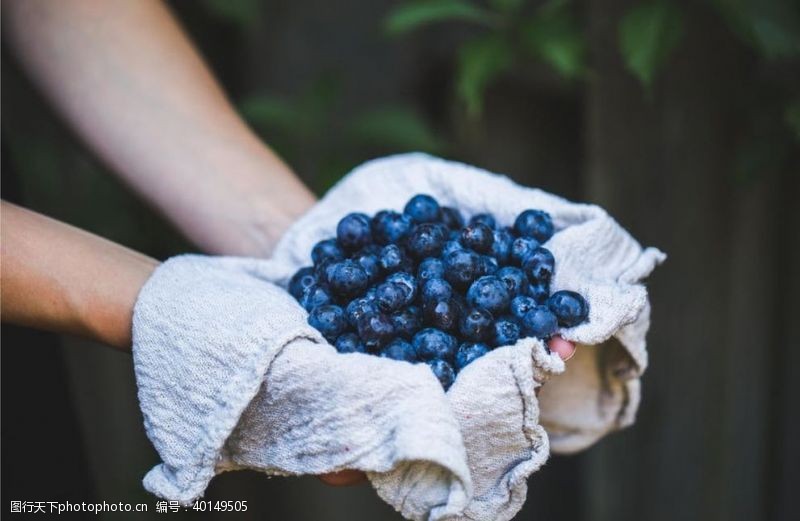 水果背景素材蓝莓图片