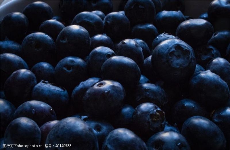 水果节蓝莓图片