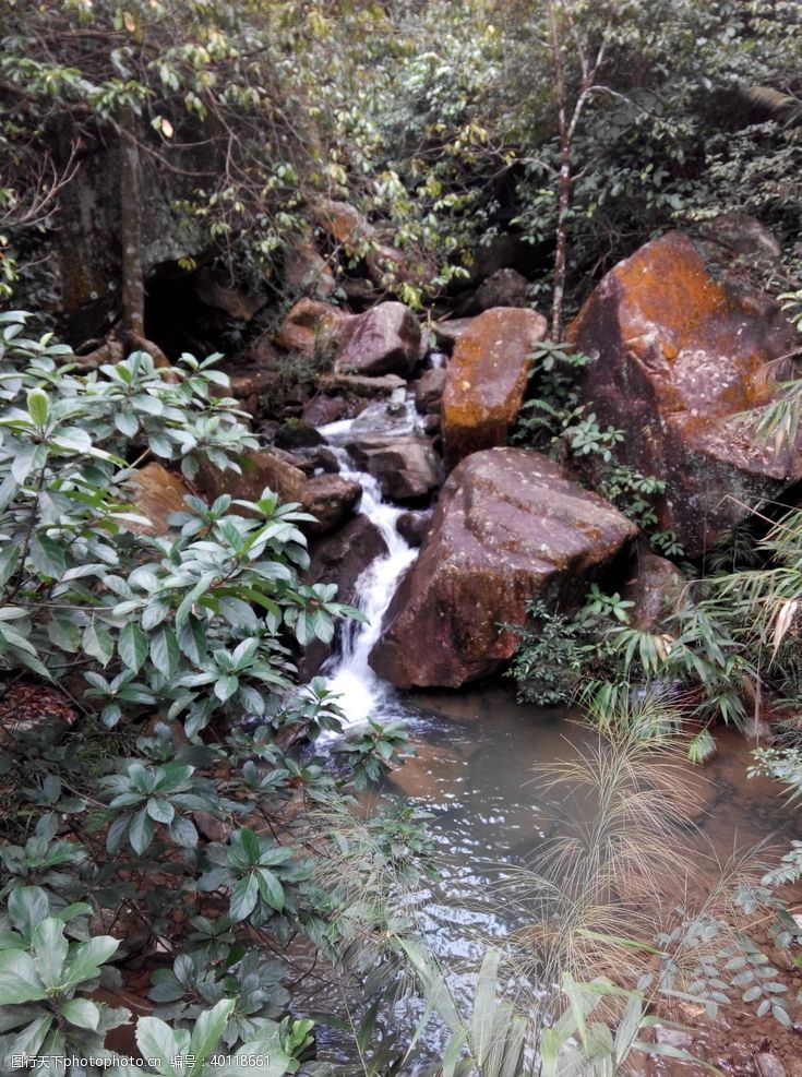 花店花卉旅游区图片