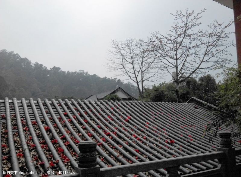 花卉素材旅游区图片