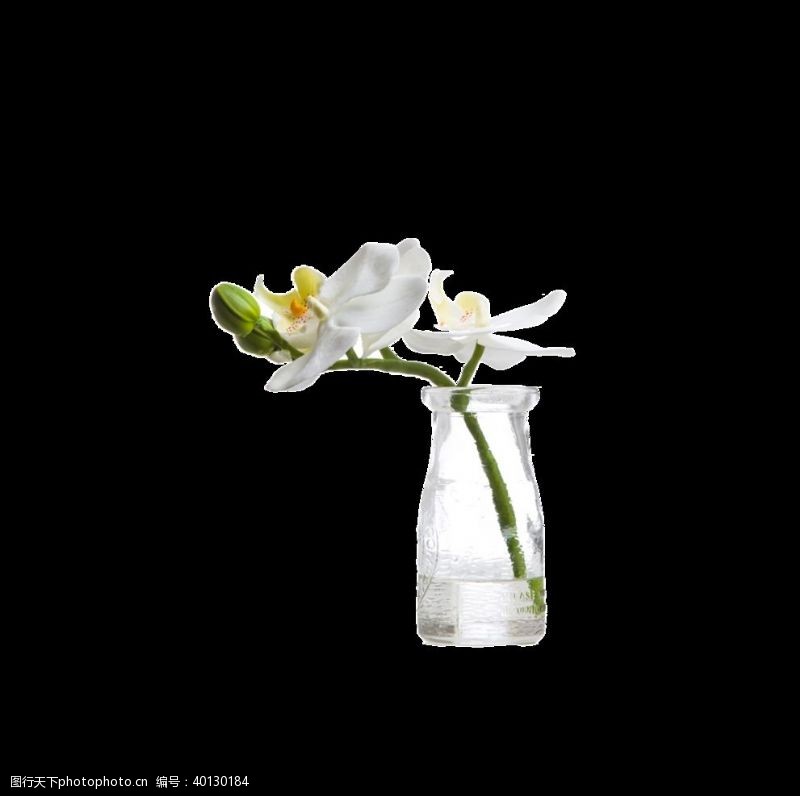 国画小品绿植物花瓶图片