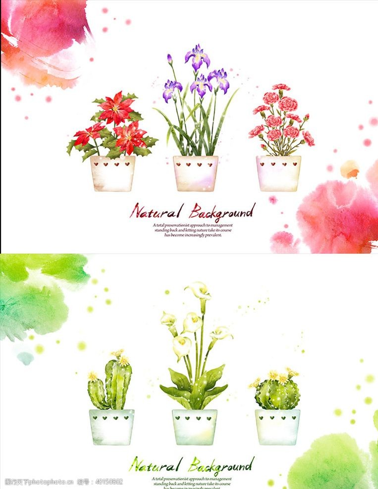手绘植物PSD分层创意花纹素材图片