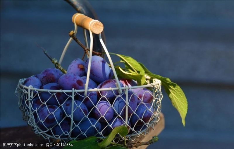 水果背景葡萄图片