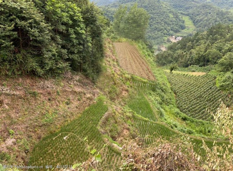 草地分层山田PS分层图片