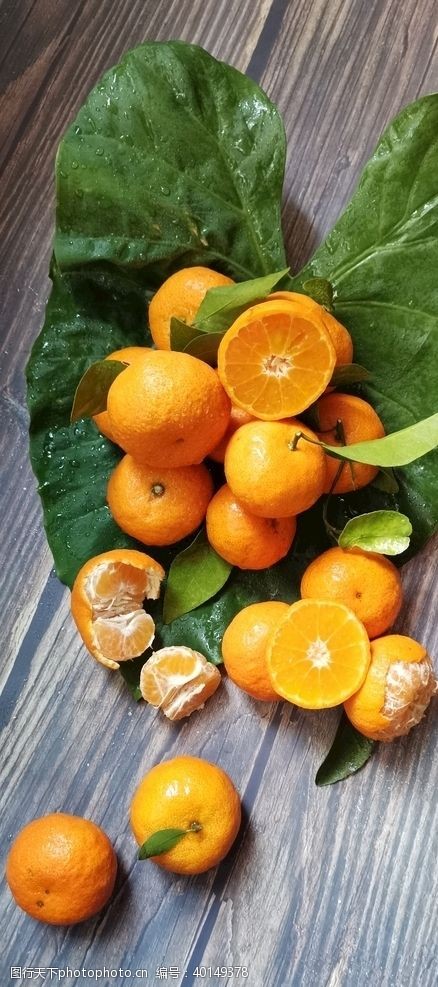 应砂糖橘桔子图片