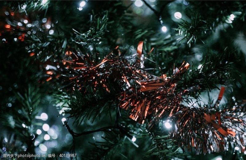 节日素材圣诞树图片