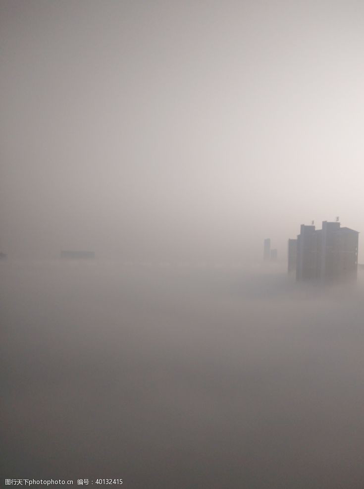 晨雾雾图片