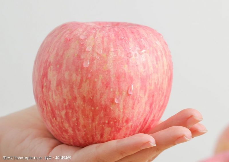 红富士新鲜苹果摄影图片