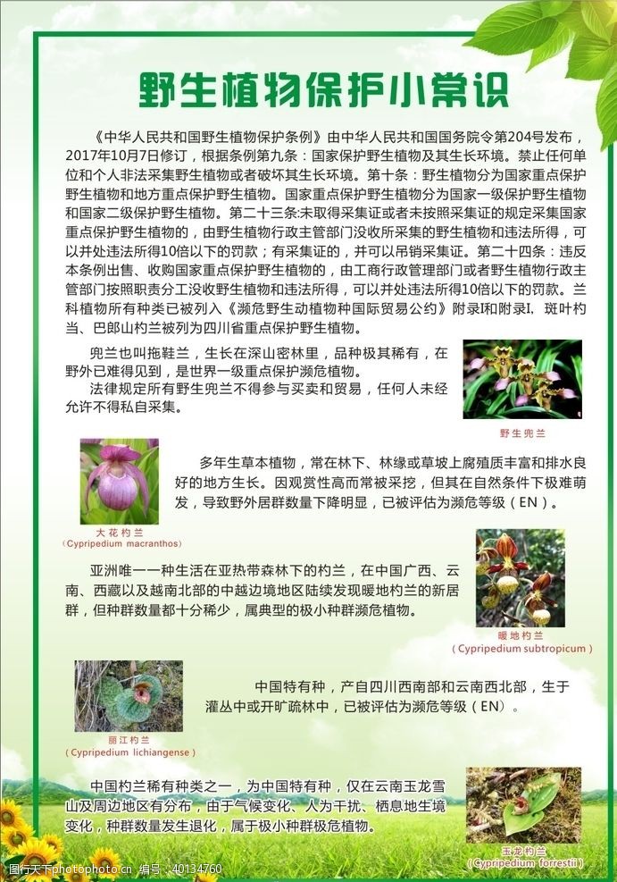 草坪野生植物保护常识宣传单图片