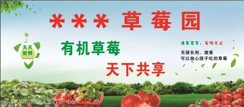 有机水果宣传草莓园图片