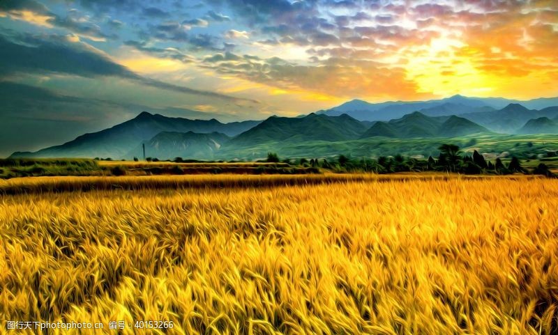 绿色背景稻田风景油画图片