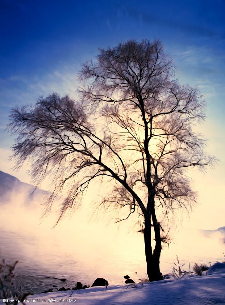 大树设计冬树风景油画图片