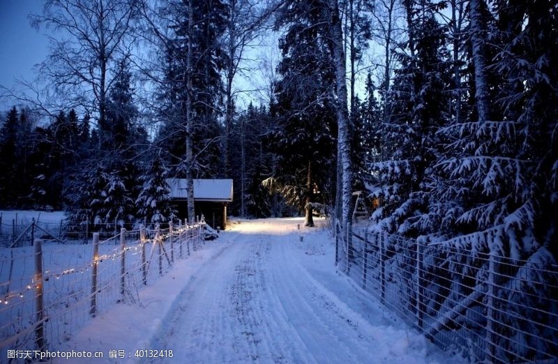路灯冬天的树林图片