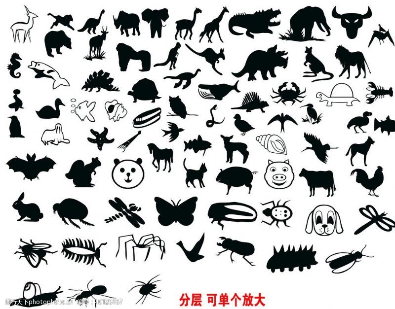 psd格式多种多样的动物图片