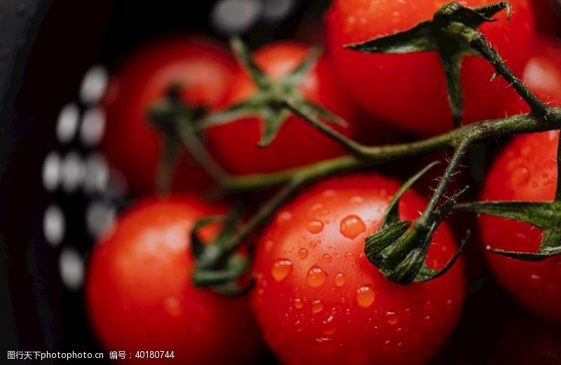 营养健康番茄图片