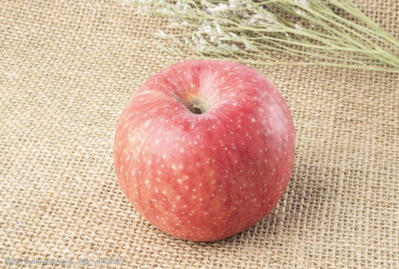 水果摄影红富士苹果图片