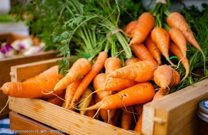 蔬菜批发市场红萝卜图片