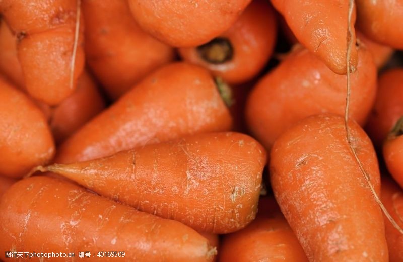 绿色蔬菜海报素材红萝卜图片