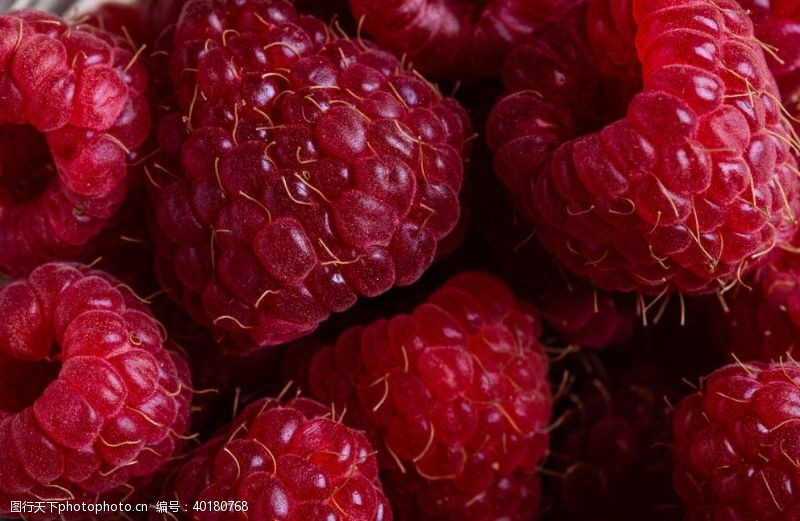 蔬菜海报红莓图片