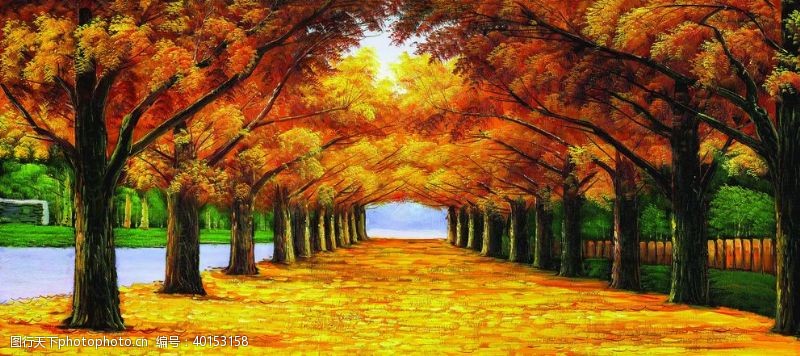 金色的秋天黄金大道枫树林图片