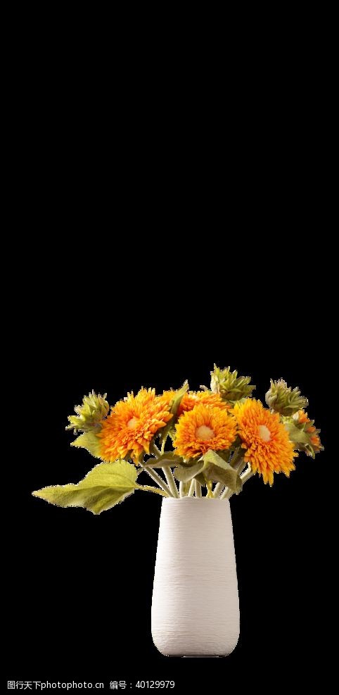 盆栽艺术花瓶图片